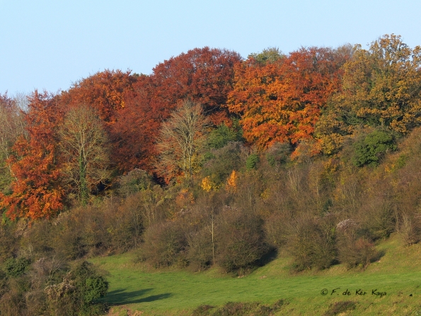 Chant d'automne 2012 (6)
